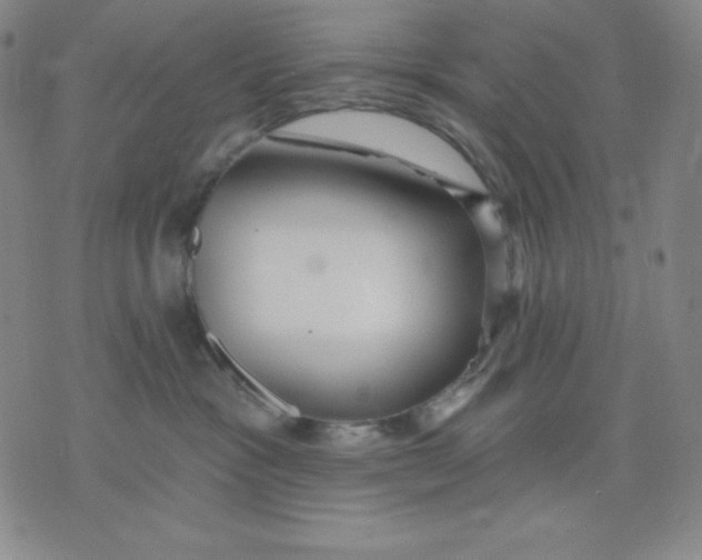 X0000076060333200610152209