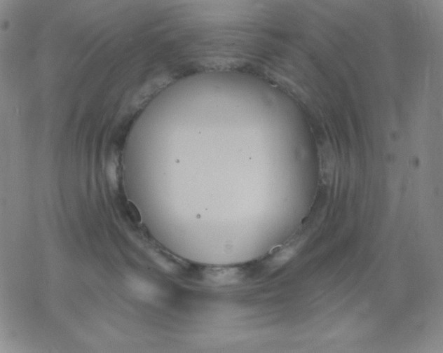 X0000076060334200610152209