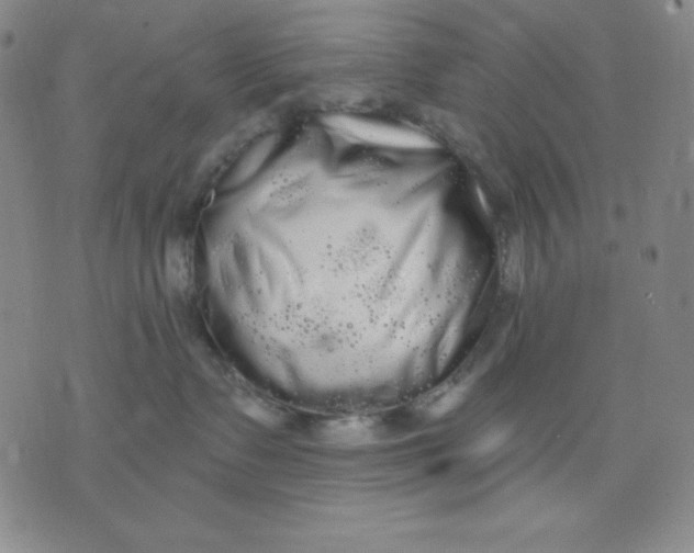 X0000076060335200610152209