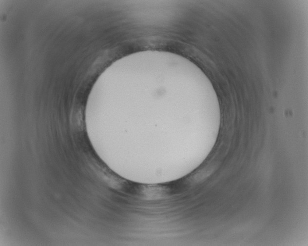 X0000076060336200610152209