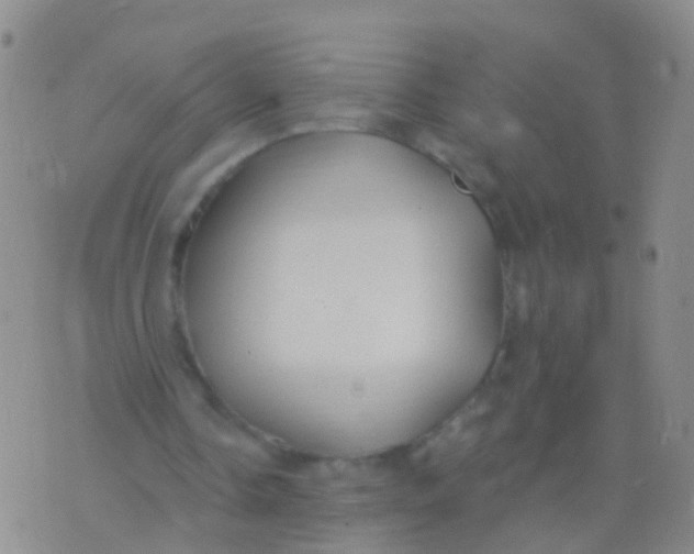 X0000076060338200610152208