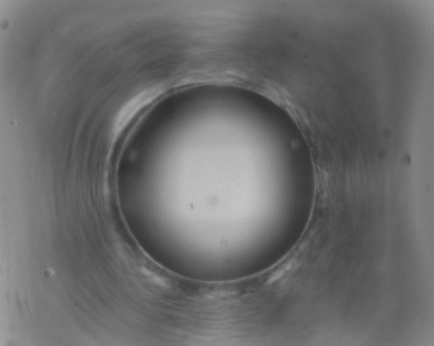 X0000076060340200610152208