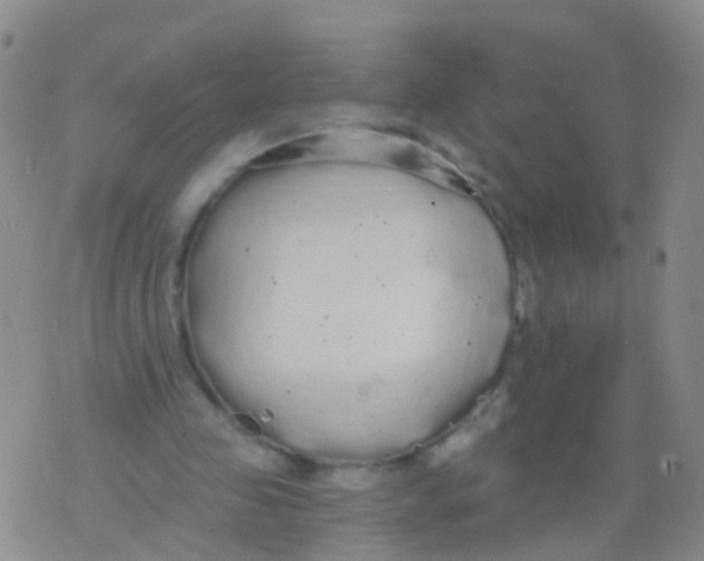 X0000076060341200610152208