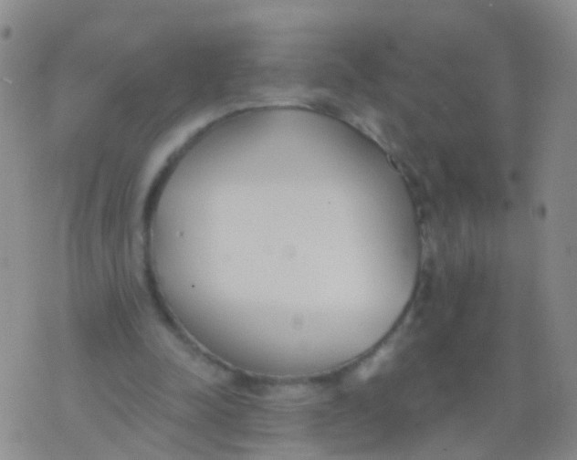 X0000076060342200610152208