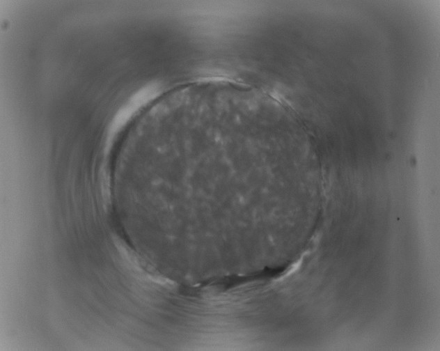 X0000076060343200610152208