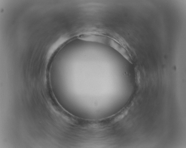 X0000076060344200610152208