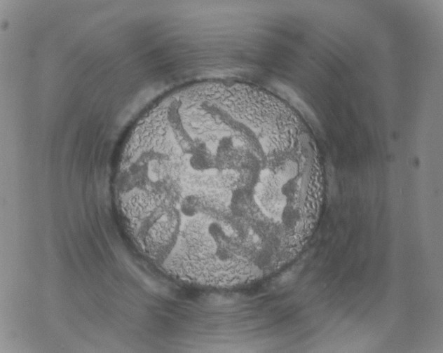 X0000076060346200610152208