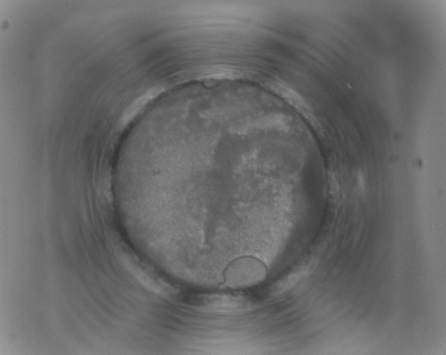 X0000076060347200610152208