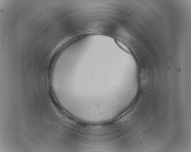 X0000076060349200610152208