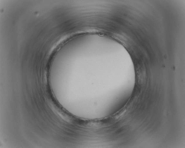 X0000076060350200610152208