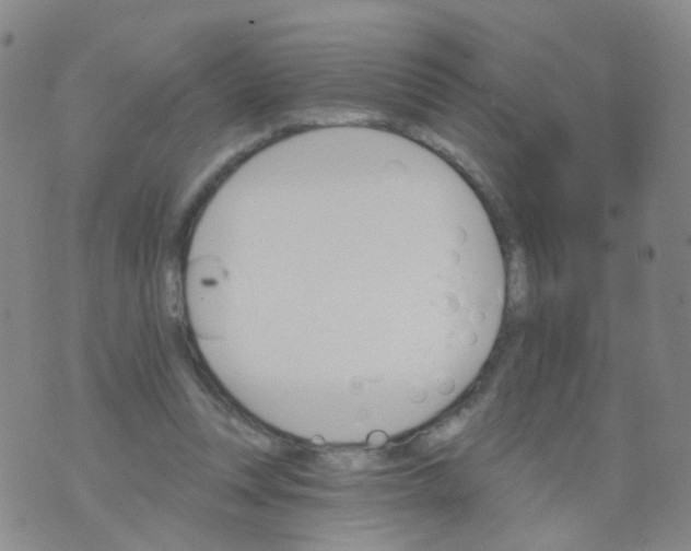 X0000076060351200610152208