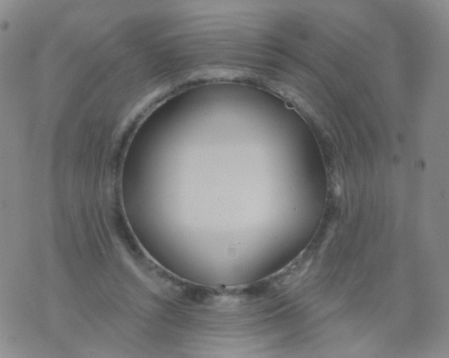 X0000076060352200610152208