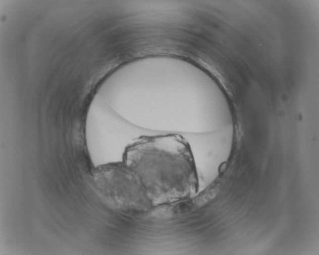 X0000076060353200610152208