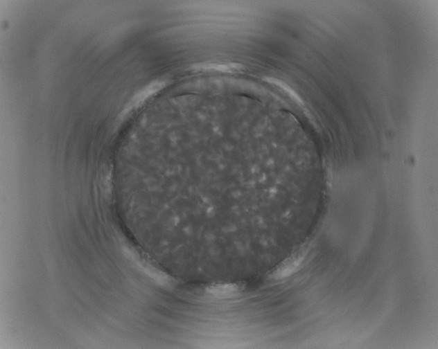 X0000076060357200610152208