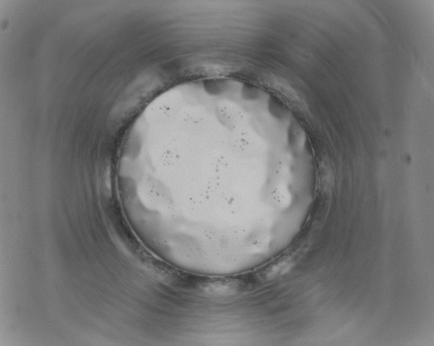 X0000076060358200610152208