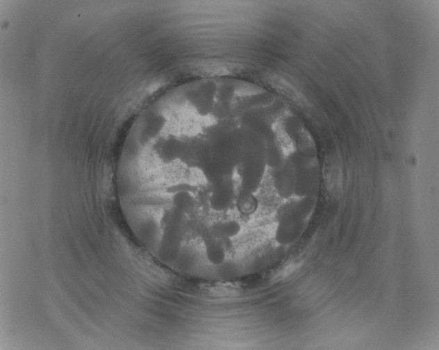 X0000076060359200610152208