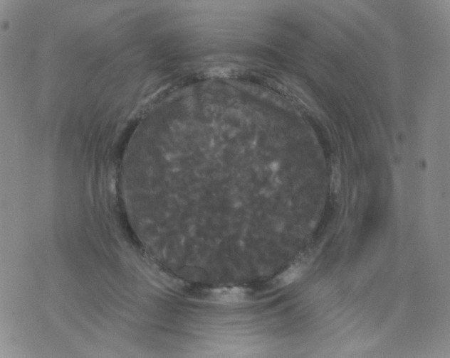 X0000076060363200610152208