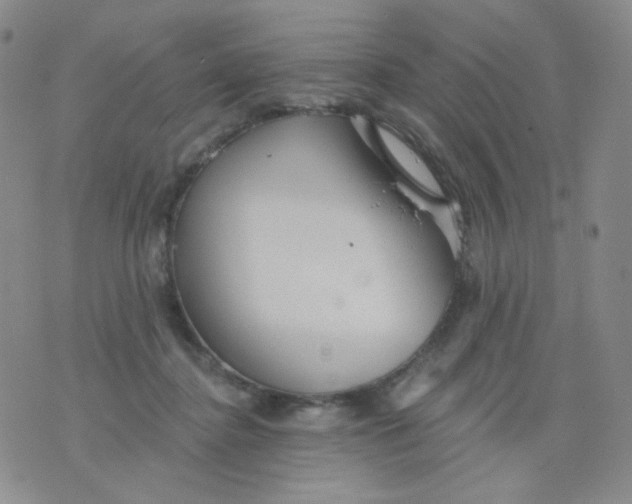 X0000076060364200610152208