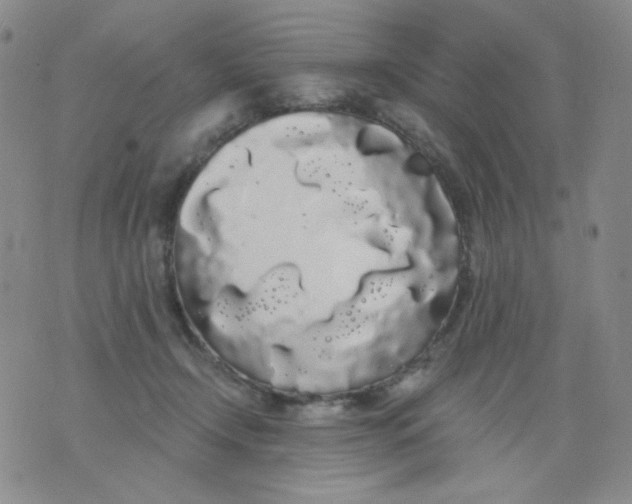 X0000076060366200610152208