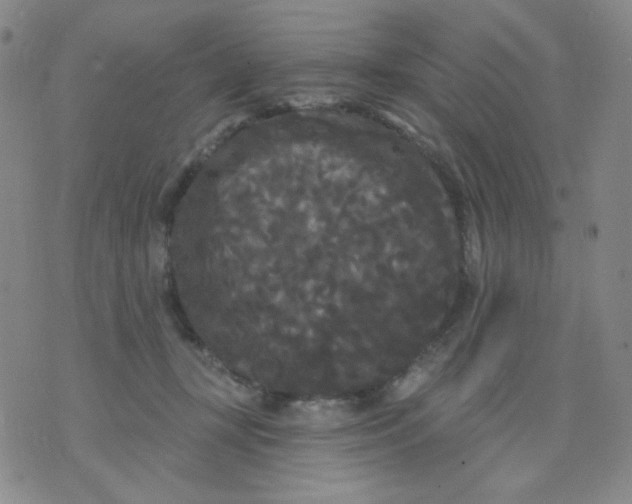 X0000076060367200610152208