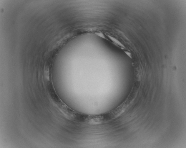 X0000076060368200610152208