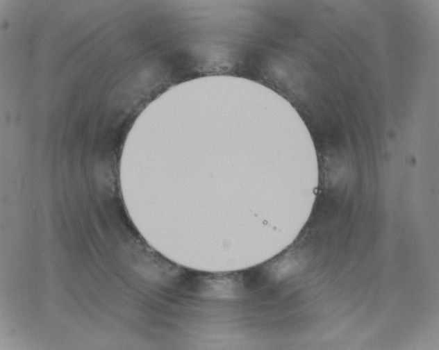 X0000076060370200610152208