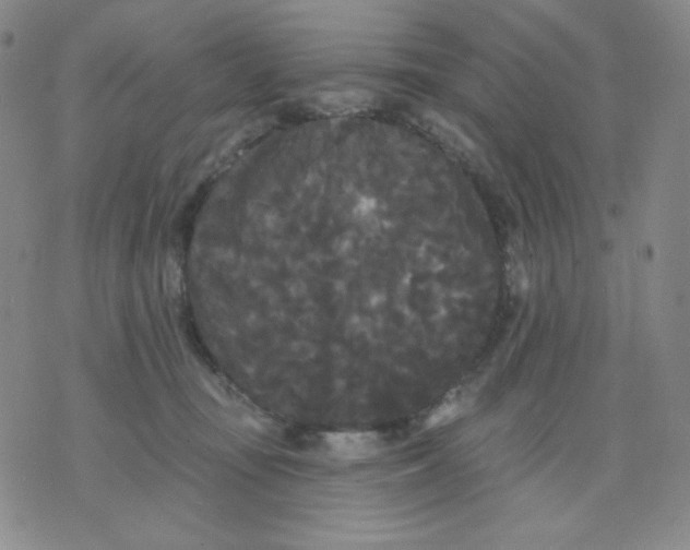 X0000076060371200610152208