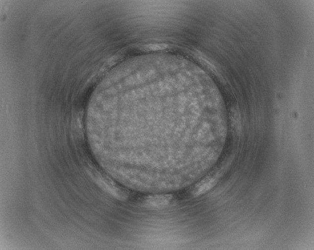 X0000076060373200610152208