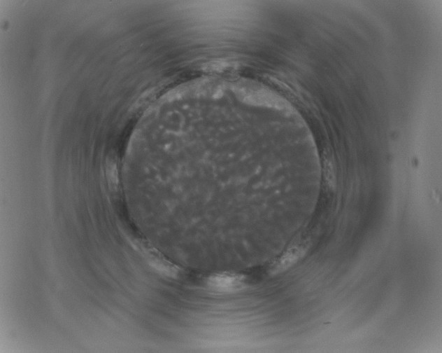 X0000076060375200610152208