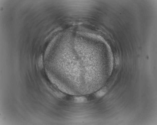 X0000076060376200610152208