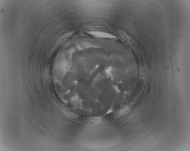 X0000076060377200610152208