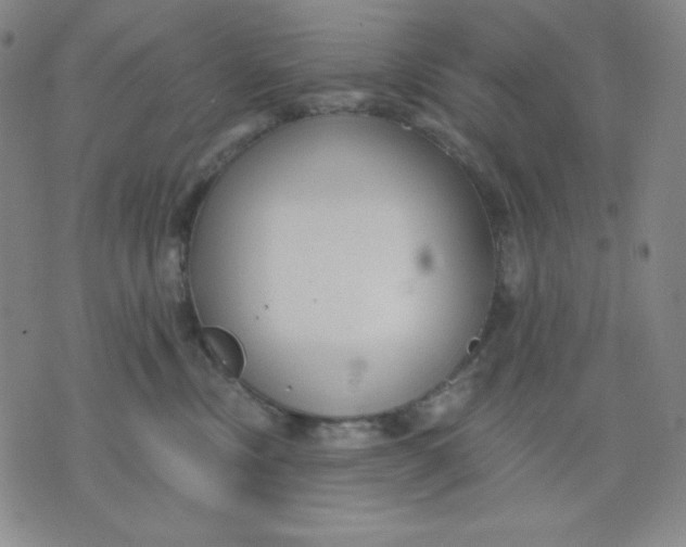 X0000076060378200610152208