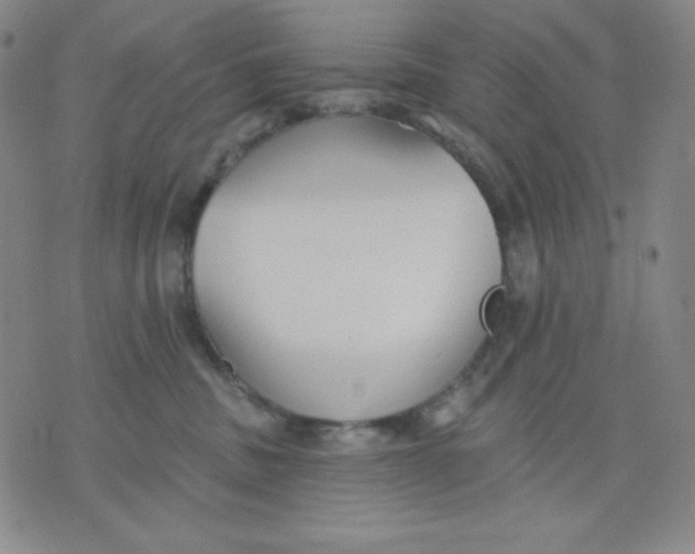 X0000076060379200610152208