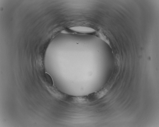 X0000076060380200610152209