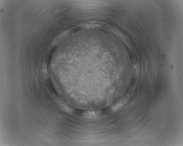 X0000076060381200610152209