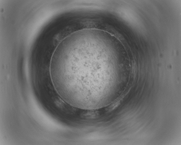 X0000076060383200610152209