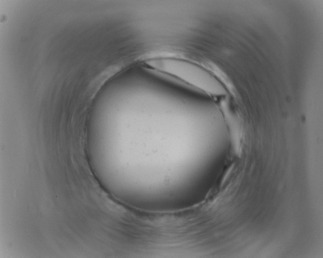 X0000076060385200610152208