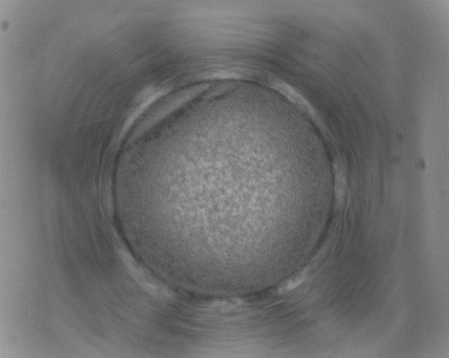 X0000076060386200610152208