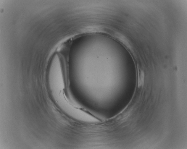 X0000076060387200610152208