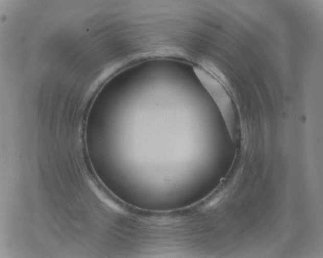 X0000076060389200610152208