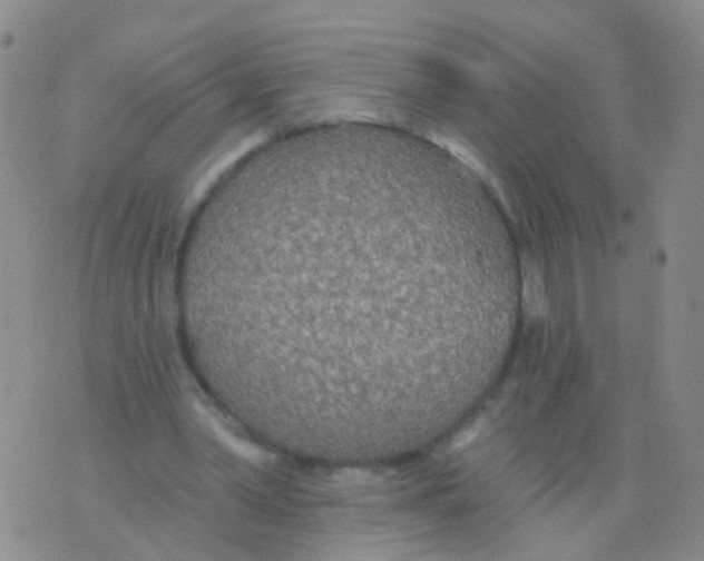 X0000076060390200610152208