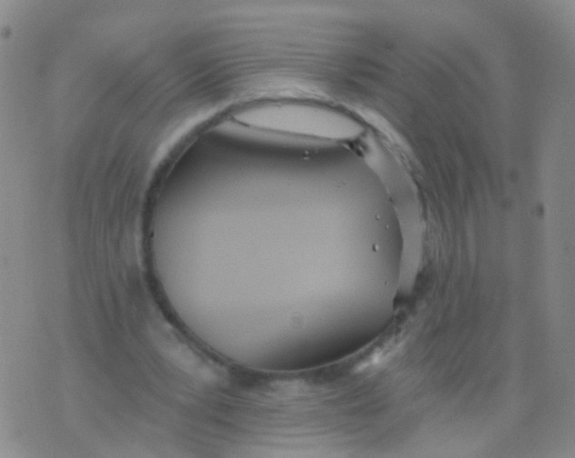 X0000076060391200610152208