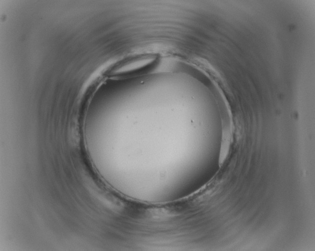 X0000076060392200610152208