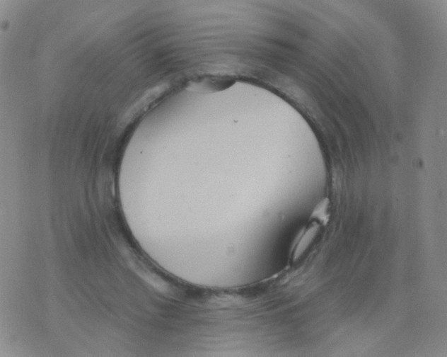 X0000076060397200610152208