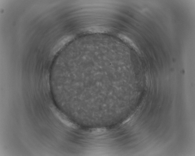 X0000076060398200610152208