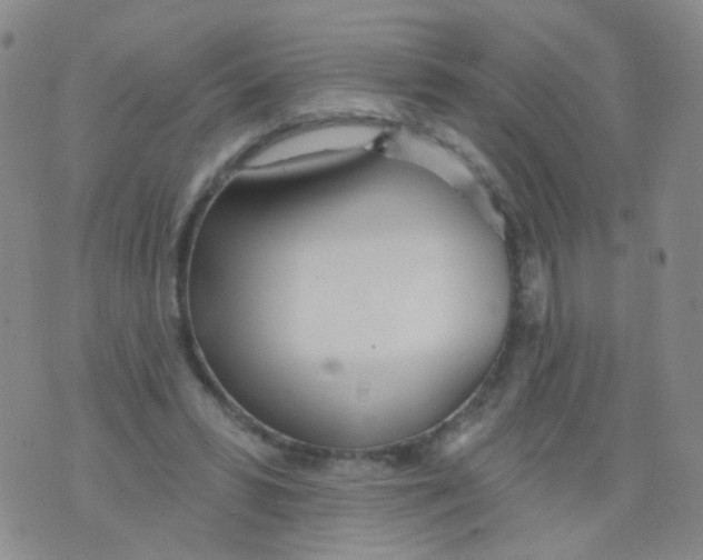 X0000076060399200610152208