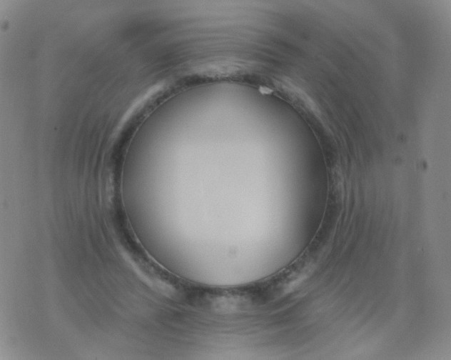 X0000076060400200610152208