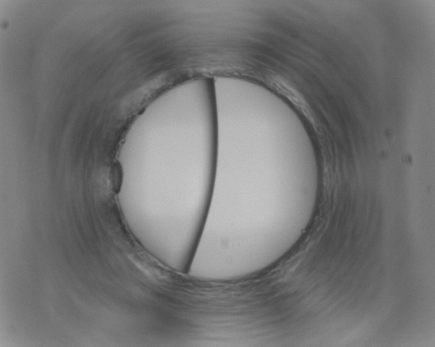 X0000076060401200610152208