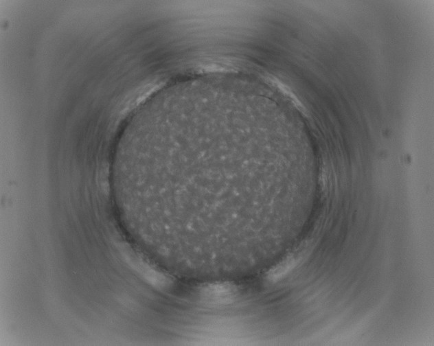 X0000076060402200610152208