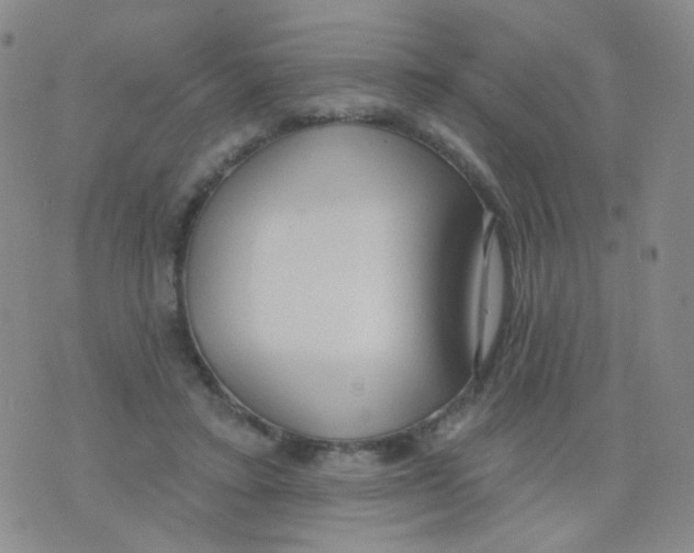 X0000076060403200610152208